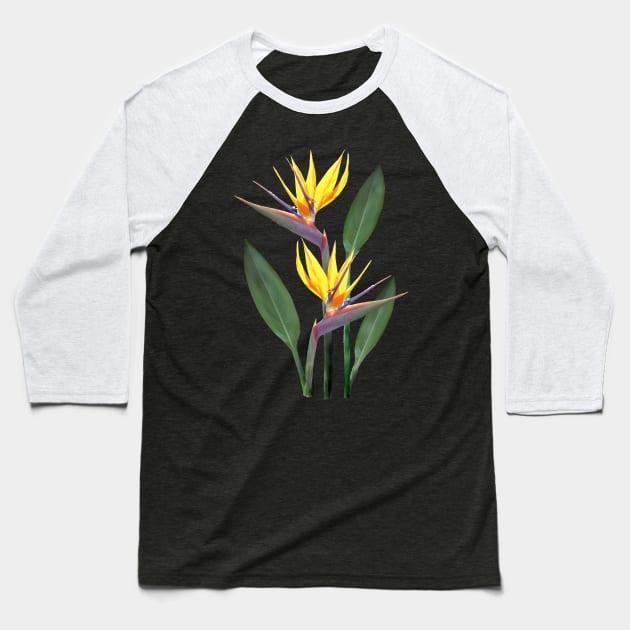 Strelitzia a Tropical Flower in Kenya - Africa Baseball T-Shirt by T-SHIRTS UND MEHR